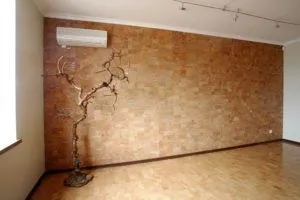 Finisare pereti din caramida in interiorul casei, precum și decât pentru a decora (pereți) Finisare pereti din caramida in interiorul casei, precum și decât pentru a decora