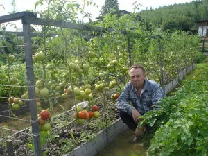 Specificul grădina sistemului mitlaydera (este posibil să se facă creasta) Specificul grădina sistemului mitlaydera