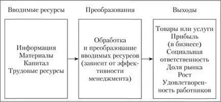 Organizația ca un sistem deschis, mediu de organizare internă și externă - Teoria Organizației - (sistem) Organizația ca un sistem deschis, mediu de organizare internă și externă - teoria organizației -