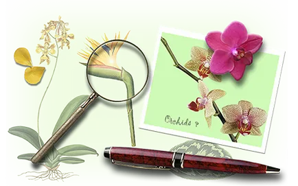 houseplants de calificare online