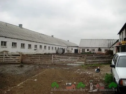 Stâna pentru oile cu ghidul de mâinile lor, fotografii și video