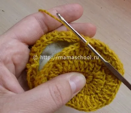 Paste de pui croșetat, tricotate de pui Paste