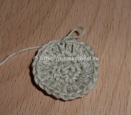 Paste de pui croșetat, tricotate de pui Paste