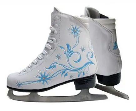 De ce așa-numitele patine, de ce apel patine cu rotile patine, ceea ce înseamnă că (numai gheață de alunecare) De ce așa-numitele patine, de ce apel patine cu rotile patine, ceea ce înseamnă