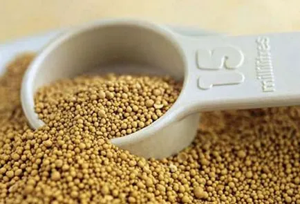 Varza fertilizarea solului după plantare metode de bază (de plantare) Varza fertilizarea solului după plantare metode de bază