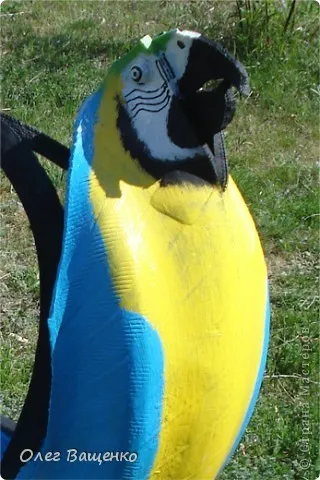 Parrot pneurilor