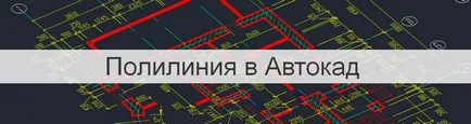 Polilinie în AutoCAD - AutoCAD Specialist (polilinie în AutoCAD) Polilinie în AutoCAD - AutoCAD Specialist