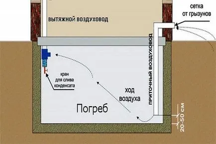 Crama sub casa cu propriile sale mâini - clădire, instrucțiunile! (Crama) Crama sub casa cu propriile sale mâini - clădire, instrucțiunile!