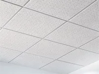 Armstrong Ceiling - caietul de sarcini, tipuri, avantaje și dezavantaje ale fotografiilor