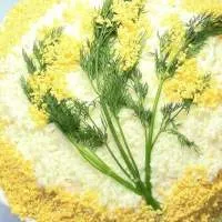 masă festivă pentru o aniversare - (mai mult de 229 de retete), cu fotografii pe (fetaksoy salată grecească) masă festivă pentru o aniversare - (mai mult de 229 de retete) cu fotografii de pe