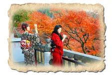 Sărbători în Japonia