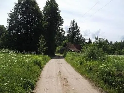Regulile Cider House, sau m-am decis pentru a face vin de casă (reguli) Regulile Casei cidrul, sau m-am decis să vin de casă