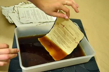 Invitații la nuntă în formă de parcurgere modul de a face (a) Invitații la nuntă în formă de parcurgere cum se face
