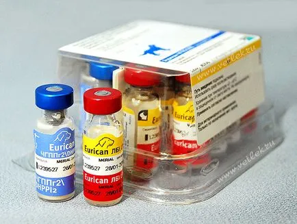 Vaccinările pentru programul de câini și reguli