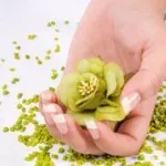 manichiura spa la domiciliu