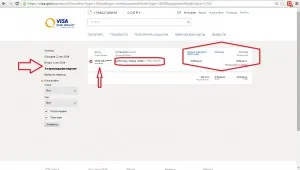 Verificați Qiwi pungă cum să găsească un echilibru (echilibru) Verificați Qiwi pungă cum să găsească un echilibru