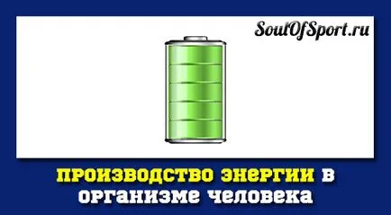 Producția de energie în corpul uman (care ionii de hidrogen) Producția de energie în corpul uman