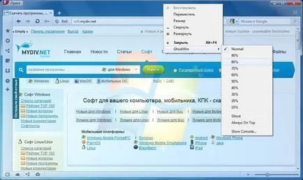 ferestre transparente în Windows modul de a face fereastra transparentă