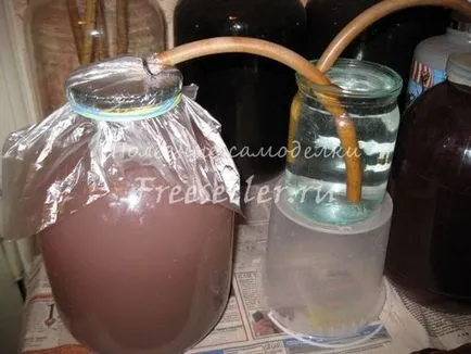 capcană de apă simplă pentru vin de casă