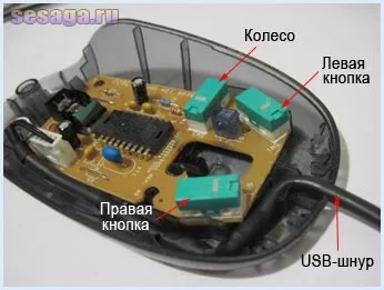 Reparare de mouse-ul calculatorului, pentru acasă, pentru familie