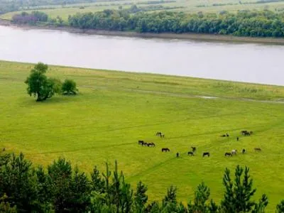 Caracteristici Plains și tipuri