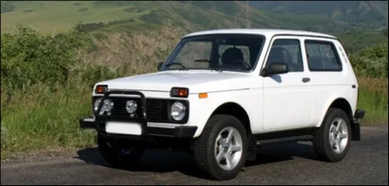 vaze de reparare (câmp) în 2121