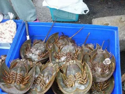 Pește și fructe de mare în Thailanda tipuri de fructe de mare