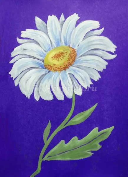 pași de mușețel desen