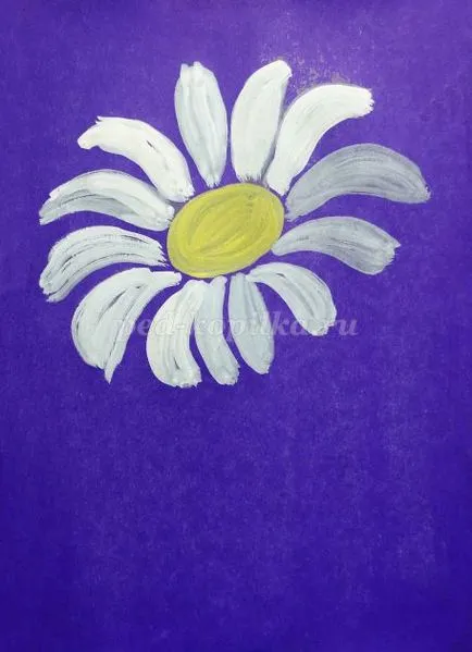 pași de mușețel desen