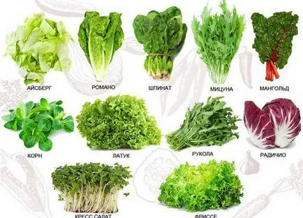 Rucola beneficii salată și rău, cum să crească o casă