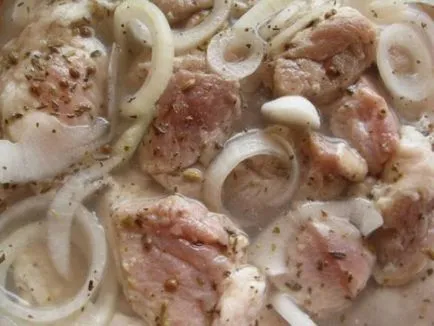 Cele mai gustoase si rapid marinat kebab rețete de porc cu otet, ceapa, lamaie, si nu numai