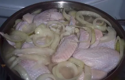 Frigarui de pui - cele mai delicioase carne marinate pentru a obține frigărui moi și suculente de pui (kebab) Frigarui de pui - cele mai delicioase carne marinate pentru a obține frigărui moi și suculente de pui