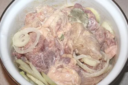 Frigarui de pui - cele mai delicioase carne marinate pentru a obține frigărui moi și suculente de pui (găină) Frigarui de pui - cele mai delicioase carne marinate pentru a obține frigărui moi și suculente de pui