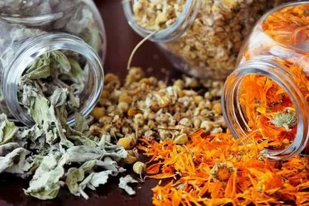 Secretele herbalists când și cum să colecteze ierburi