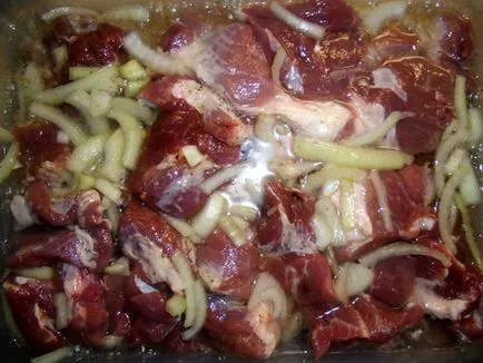 Porc de apă minerală - rețete simple, (kebab) Porc de apă minerală - rețete simple,