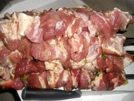 Porc de apă minerală - rețete simple, (kebab) Porc de apă minerală - rețete simple,