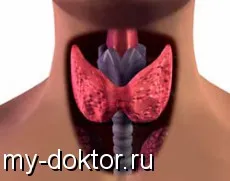 Tiroidiană și relevanța acestuia pentru organism