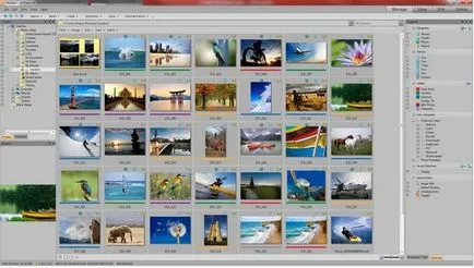 Descarcă ACDSee ACDSee prezentare detaliată a programului (programul) Descarcă ACDSee ACDSee analiză detaliată a programului