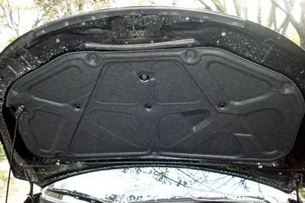 hota de izolare a zgomotului cu mâinile sale - materiale si costul