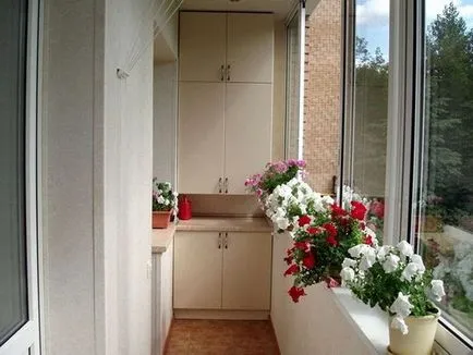 opțiuni de design balcon dulap, materiale și design, casa de vis