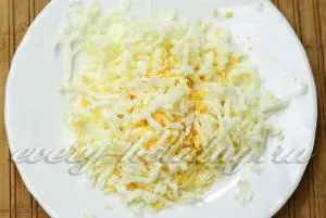 Salata Layered cu reteta de pui si prune fierte cu fotografie (puf) Salata Layered cu reteta de pui si prune fierte cu o fotografie