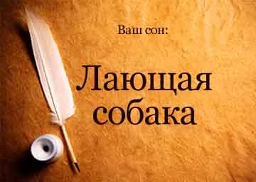 Vis câine lătrând Interpretarea în vis să mă vezi ce vise