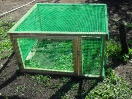 Sfaturi privind amenajarea terminat coop de pui, țarc și cutie de montaj pentru puii de găină (pui cu mâinile lor) Sfaturi privind amenajarea terminat coop de pui, țarc și cutie de montaj pentru puii de găină