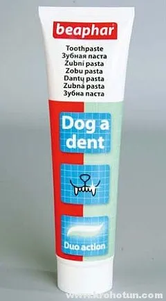 Substante de curatare dintilor cainelui la domiciliu (câini) Substante de curatare dintii unui caine acasa