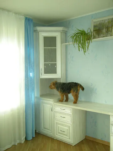 Controversa în jurul cabinetului Bush