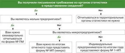 Organizațiile de raportare statistică de întreprinderi mici și antreprenori