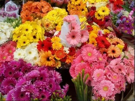 Buchet de crini, gerbera valoare, Fiesta - o parte din vacanță! (Bouquet) Buchet de crini, gerbera valoare, Fiesta - o parte din vacanță!