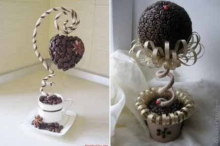 Topiara de fotografie cafea cu mâinile, cafea clasa copac maestru cum se face pas cu pas (cu mâinile) Topiara de fotografie cafea cu mâinile, cafea clasa copac maestru cum se face pas cu pas