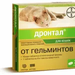 Intepati pisica de la căldură, intramuscular, fotografie, Withers, în modul de a face, cum să înțepătură în mușchiul sarcinii, și (a face) Intepati pisica de la căldură, intramuscular, fotografie, Withers, în modul de a face, cum să înțepătură în mușchiul sarcinii și