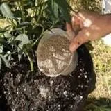 Tipuri de îngrășăminte organice, minerale, azot, fosfor etc. (îngrășăminte) Tipuri de organice îngrășăminte, minerale, azot, fosfor, etc.